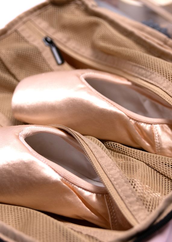  Pointe Shoe bag